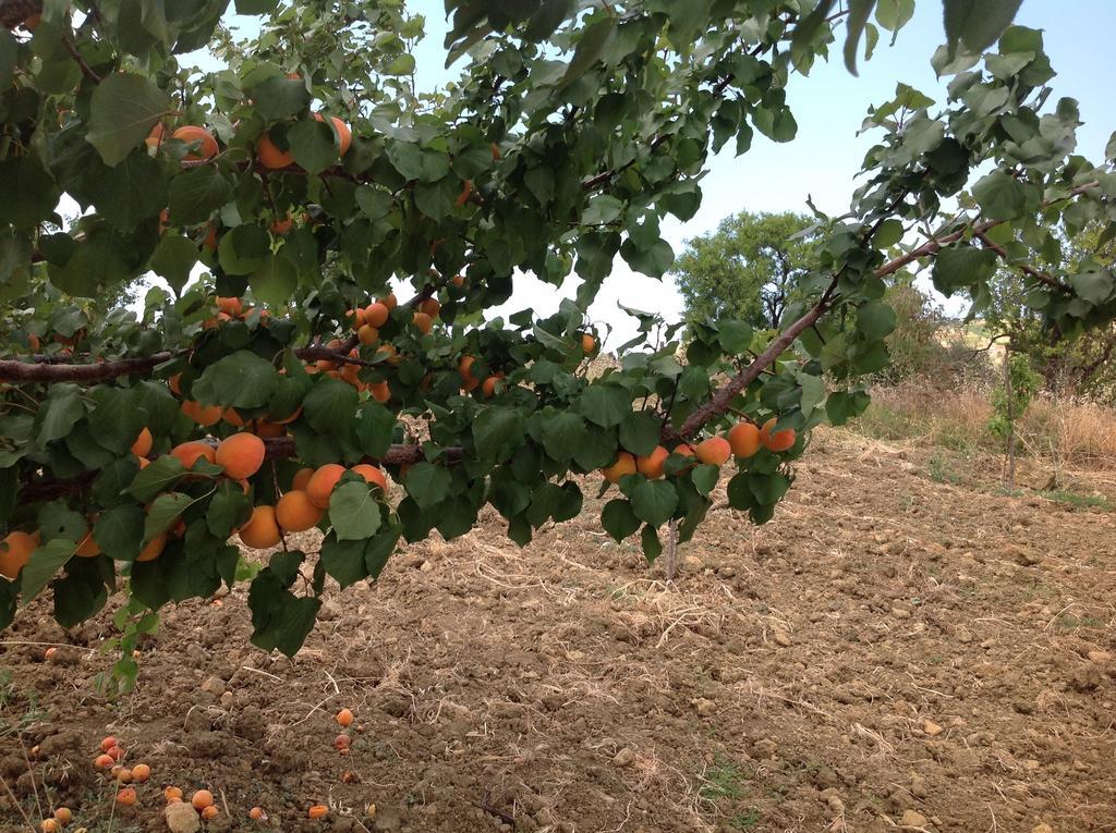 B&B A Robba De Pupi Agrigento Luaran gambar